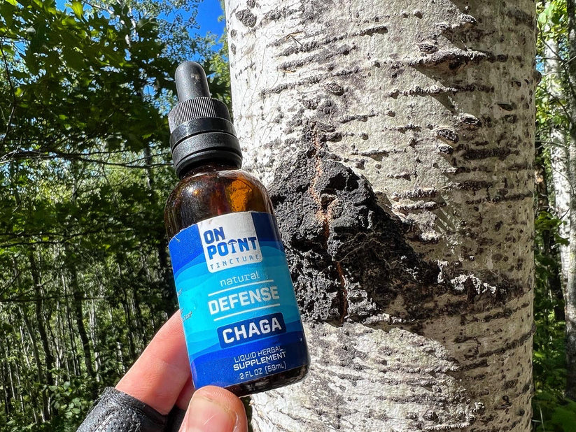 Chaga Inner Defense Tincture